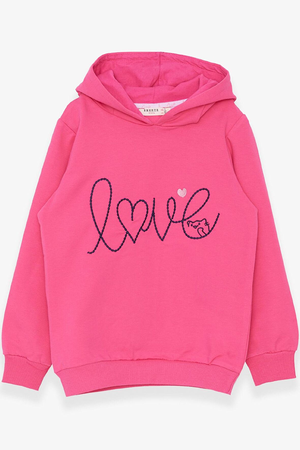 Breeze KIz Çocuk Sweatshirt Nakışlı Yazı Baskılı 2-6 Yaş, Pembe