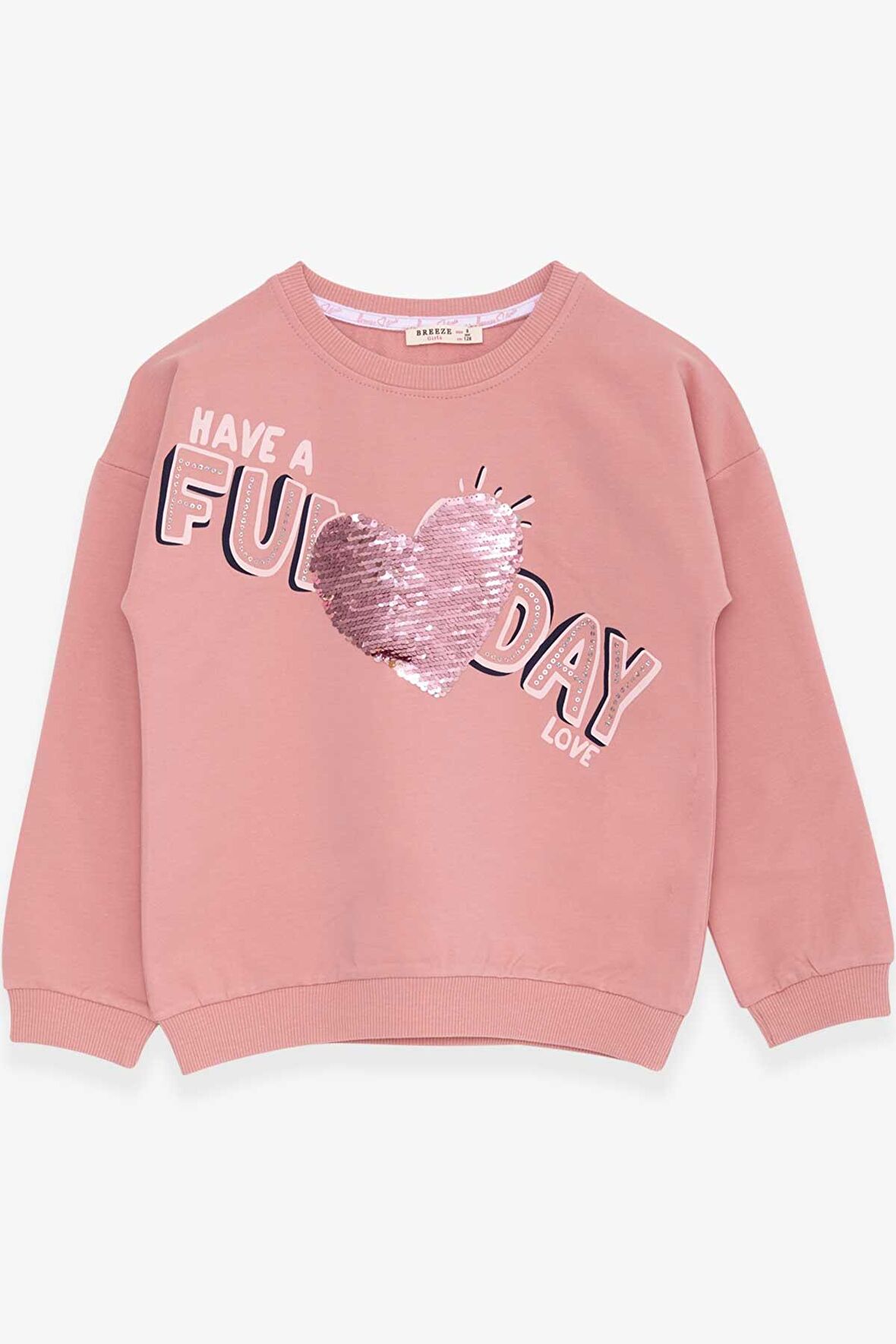 Breeze Kız Çocuk Sweatshirt Pullu Yazı Baskılı 4-8 Yaş, Gülkurusu