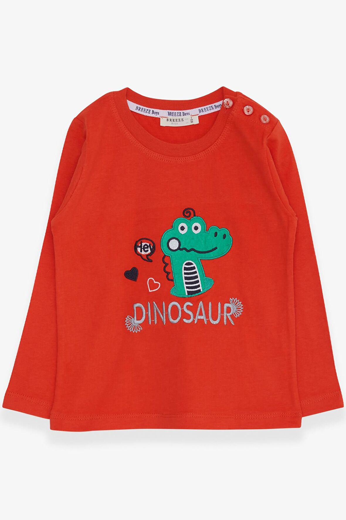Breeze Erkek Bebek Uzun Kollu Tişört Dinozor Nakışlı 9 Ay-3 Yaş, Turuncu