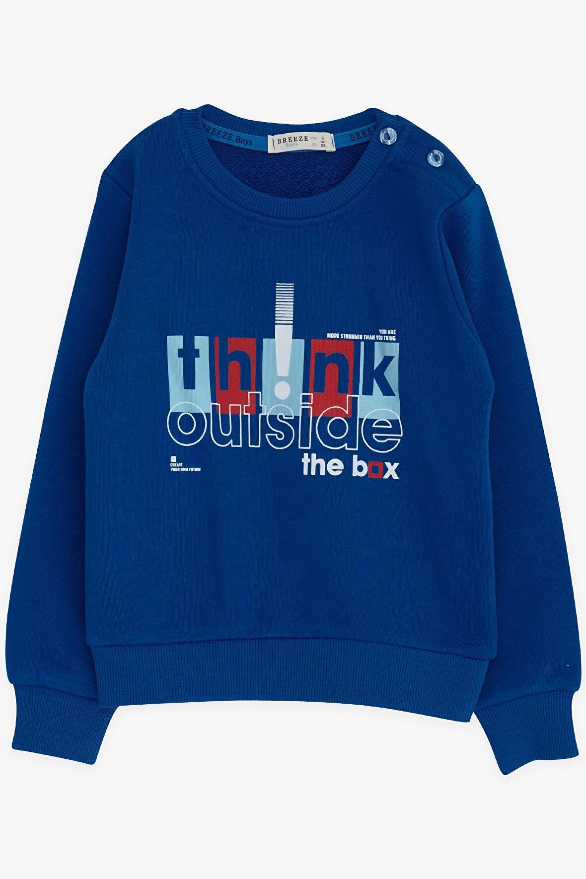 Breeze Erkek Çocuk Sweatshirt Yazı Baskılı 2-6 Yaş, Saks Mavisi