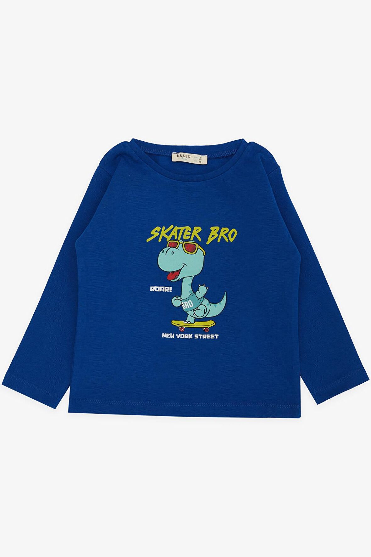 BREEZE GİRLS & BOYS Erkek Çocuk Uzun Kollu Tişört Kaykaycı Gözlüklü Dinozor Baskılı 1-4 Yaş, Saks Mavisi