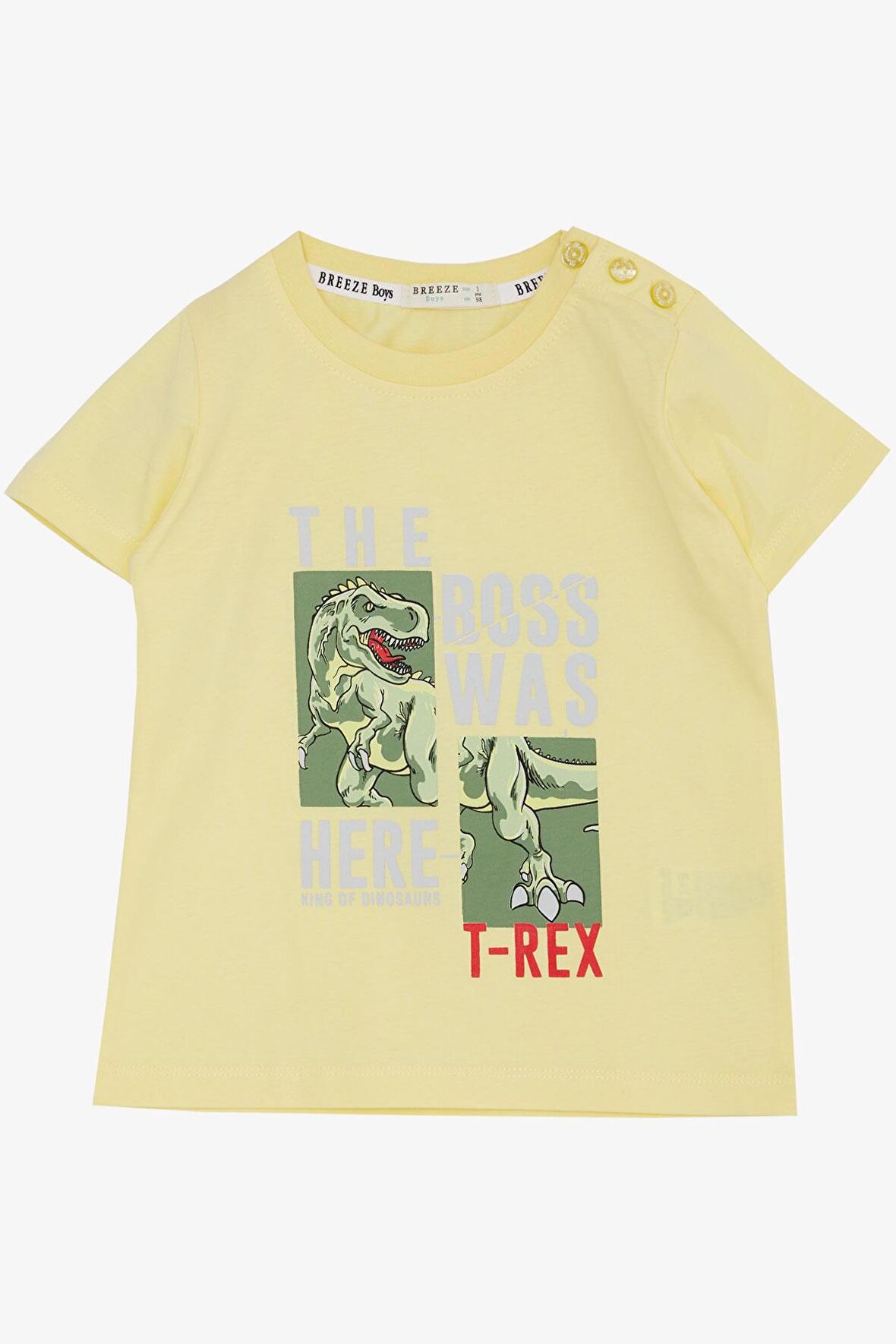 Breeze Erkek Çocuk Tişört Güçlü Dinozor Baskılı 1.5-5 Yaş, Sarı