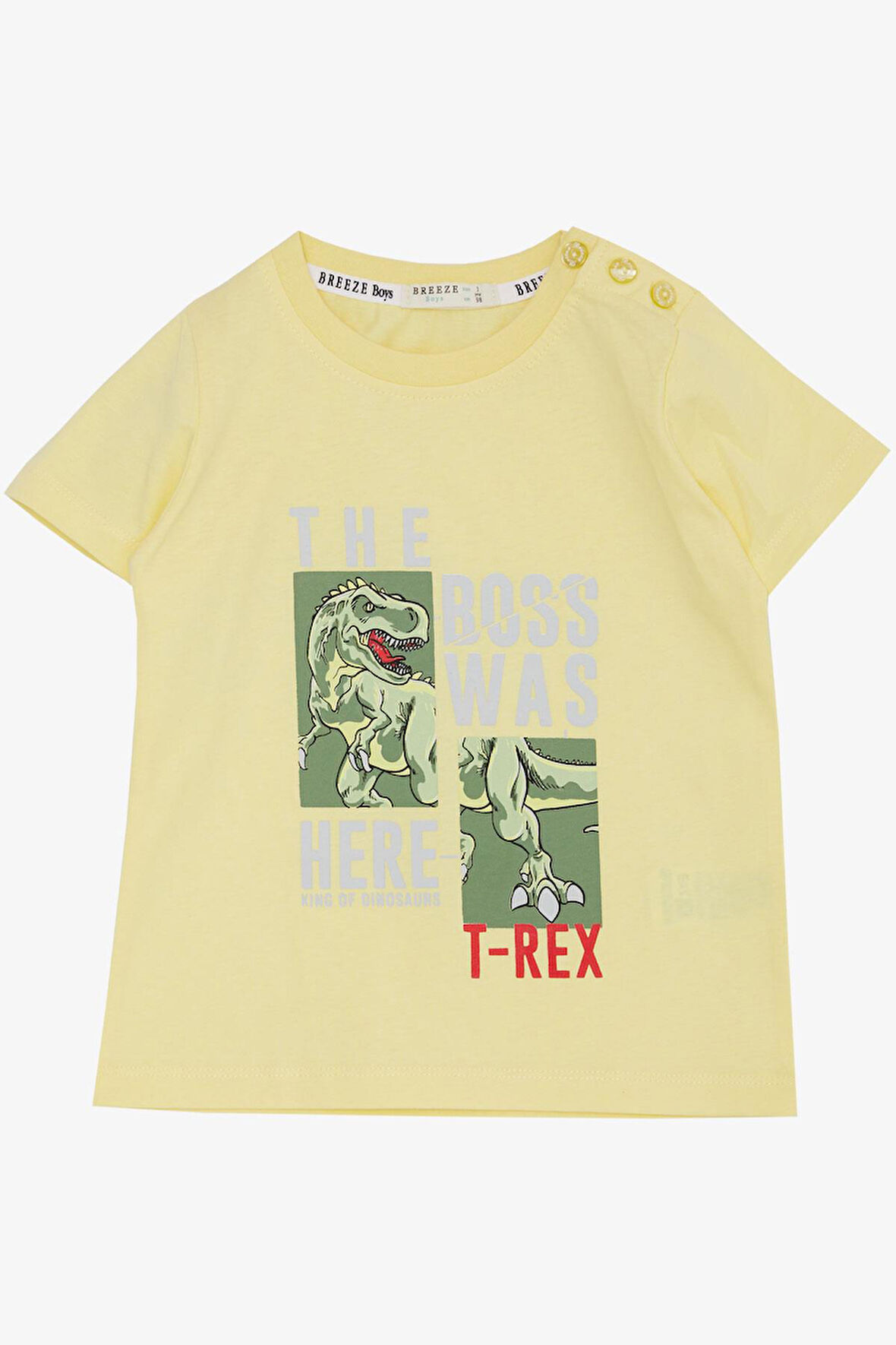 Breeze Erkek Çocuk Tişört Güçlü Dinozor Baskılı 1.5-5 Yaş, Sarı