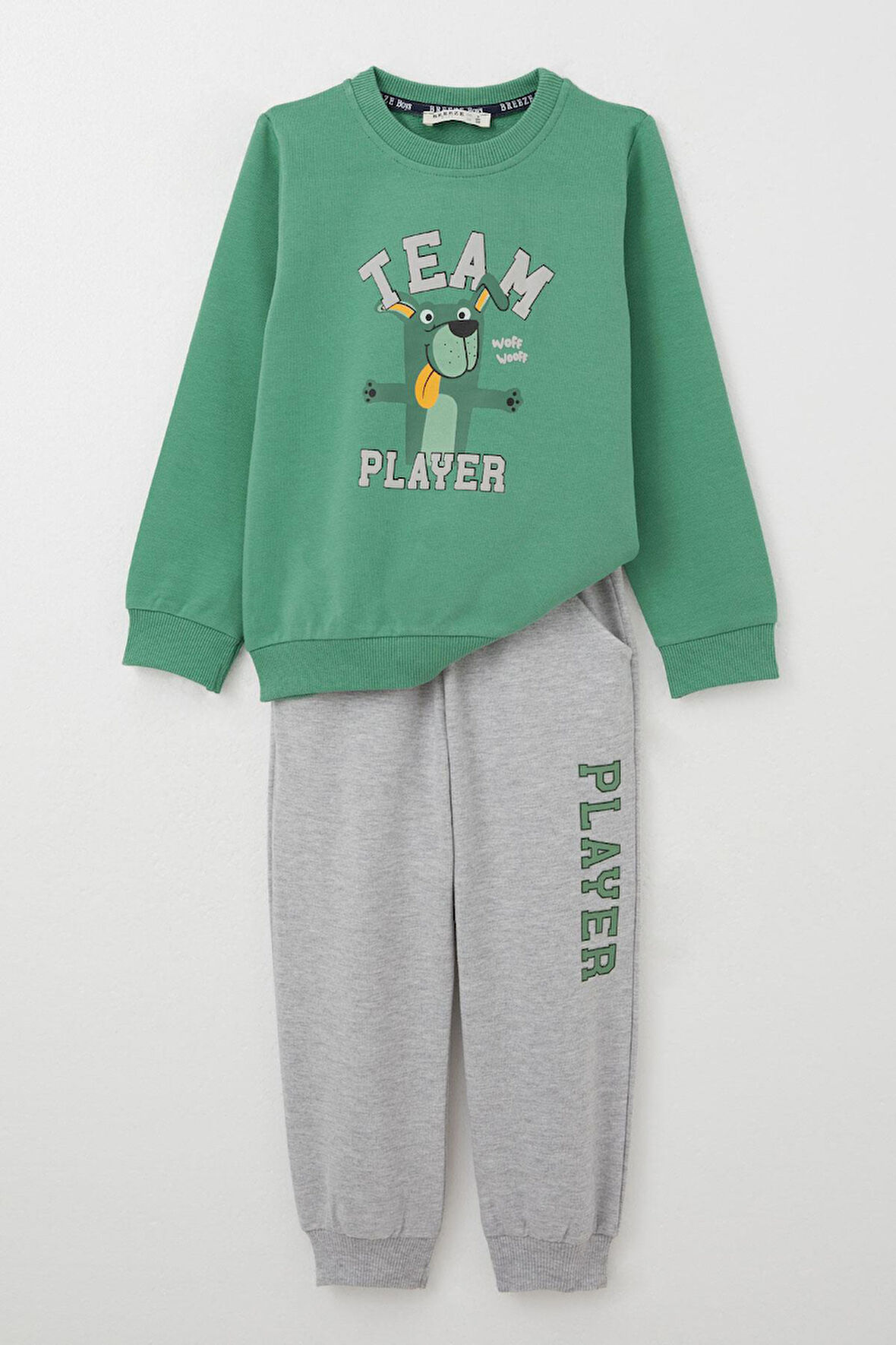Breeze Erkek Çocuk Eşofman Takım Oyuncu Köpekçik Baskılı 1-4 Yaş, Mint Yeşili