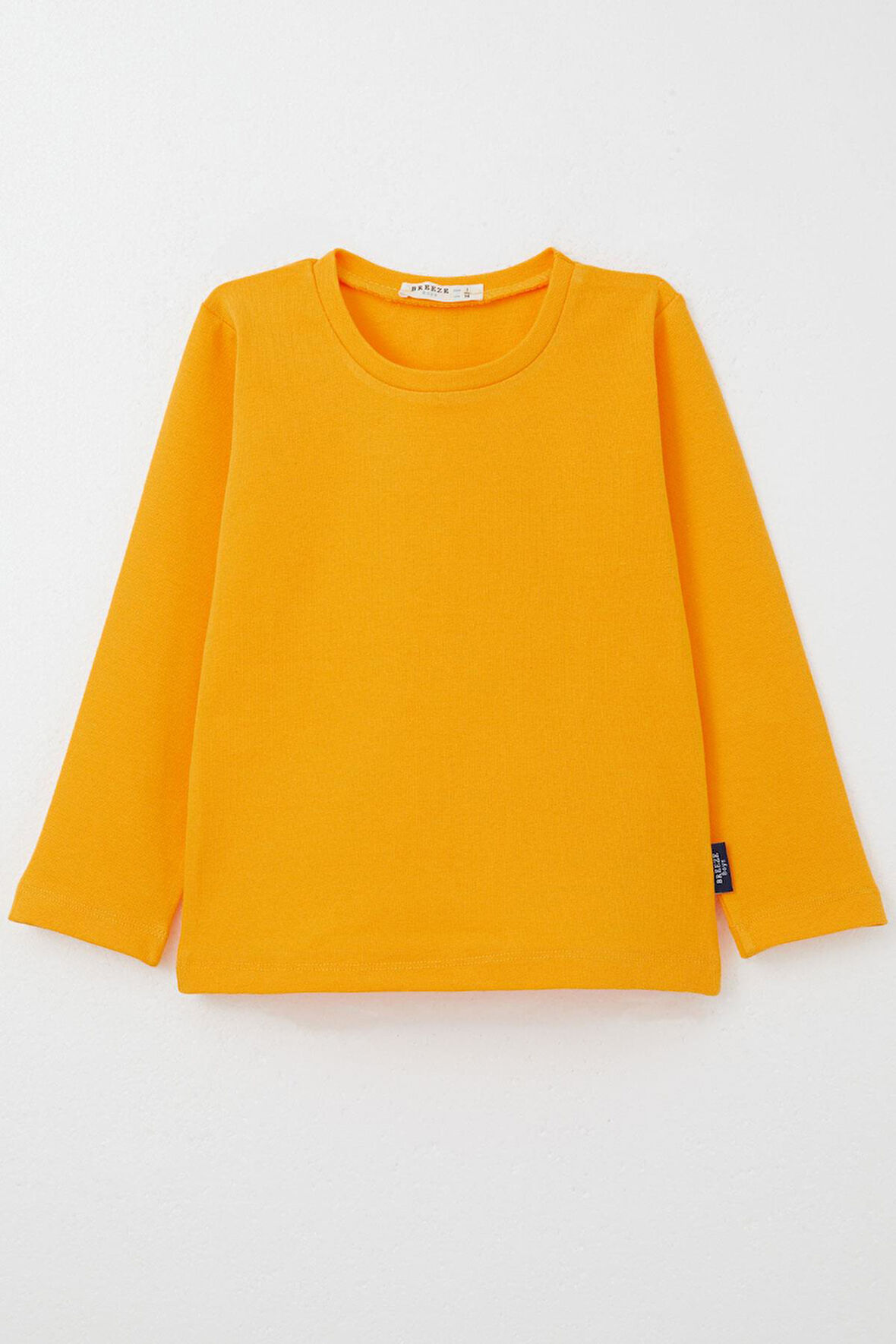 Breeze Erkek Bebek Uzun Kollu Tişört Basic 9 Ay-3 Yaş, Hardal Sarı
