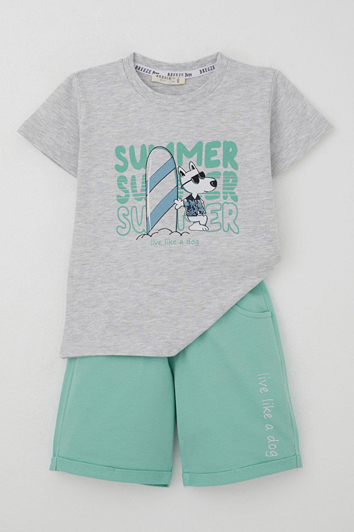 Breeze Erkek Çocuk Şortlu Takım Yaz Temalı Sörfçü Köpekçik Baskılı 2-6 Yaş, Açık Gri Melanj