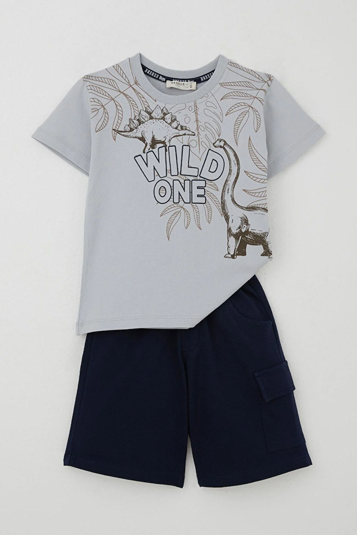 Breeze Erkek Çocuk Şortlu Takım Güçlü Dinozorlar Baskılı 3-8 Yaş, Gri