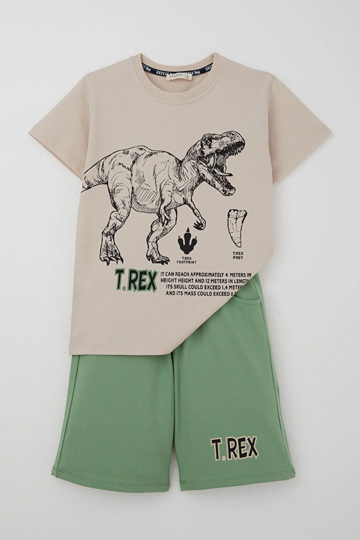 Breeze Erkek Çocuk Şortlu Takım Güçlü Dinozor Baskılı Kısa Kollar Büyük Güç 4-9 Yaş, Bej