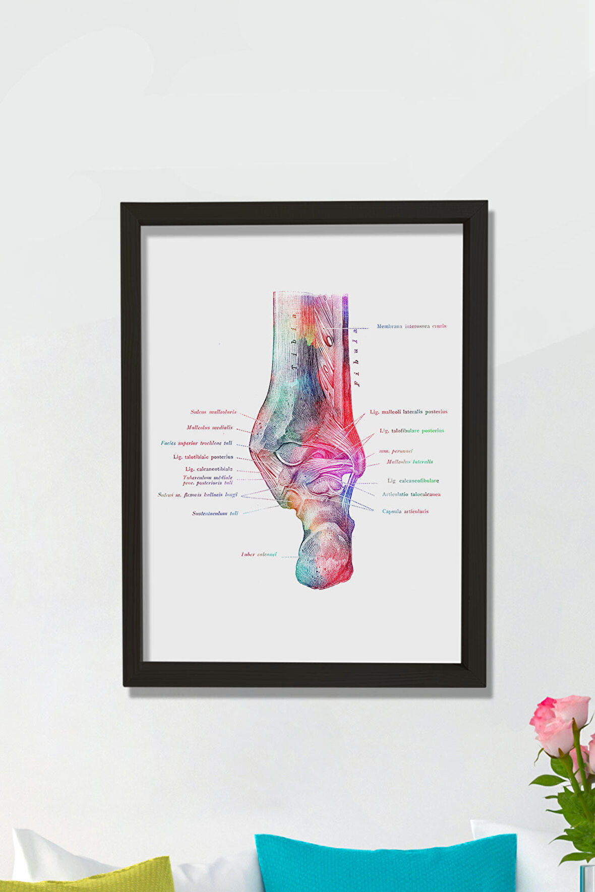 Dekor Loft Tıbbi Tablo Doktor Odası Duvar Tablosu