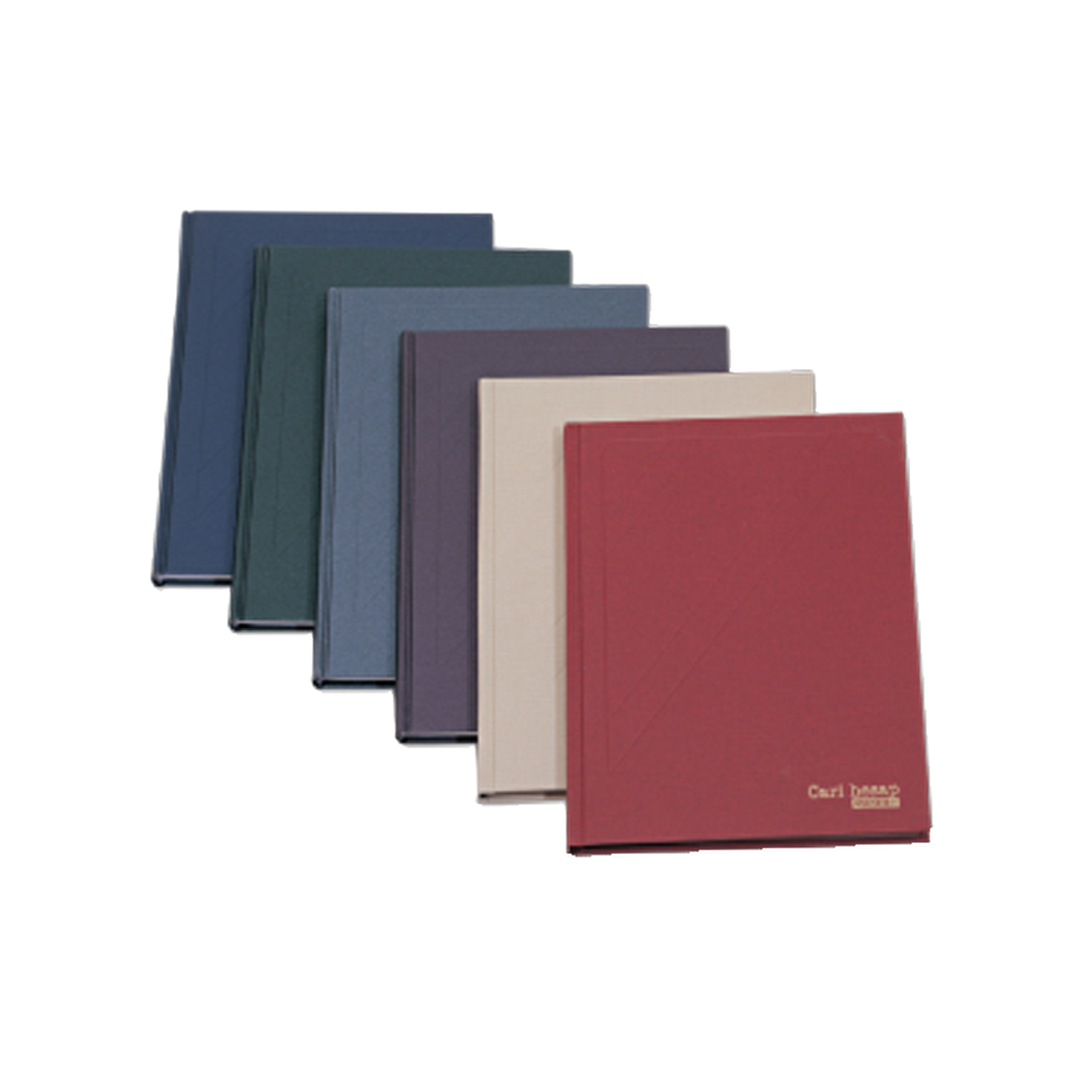 Bayındır Cari Hesap Defteri Dikey Ciltli 240 YP 20x28