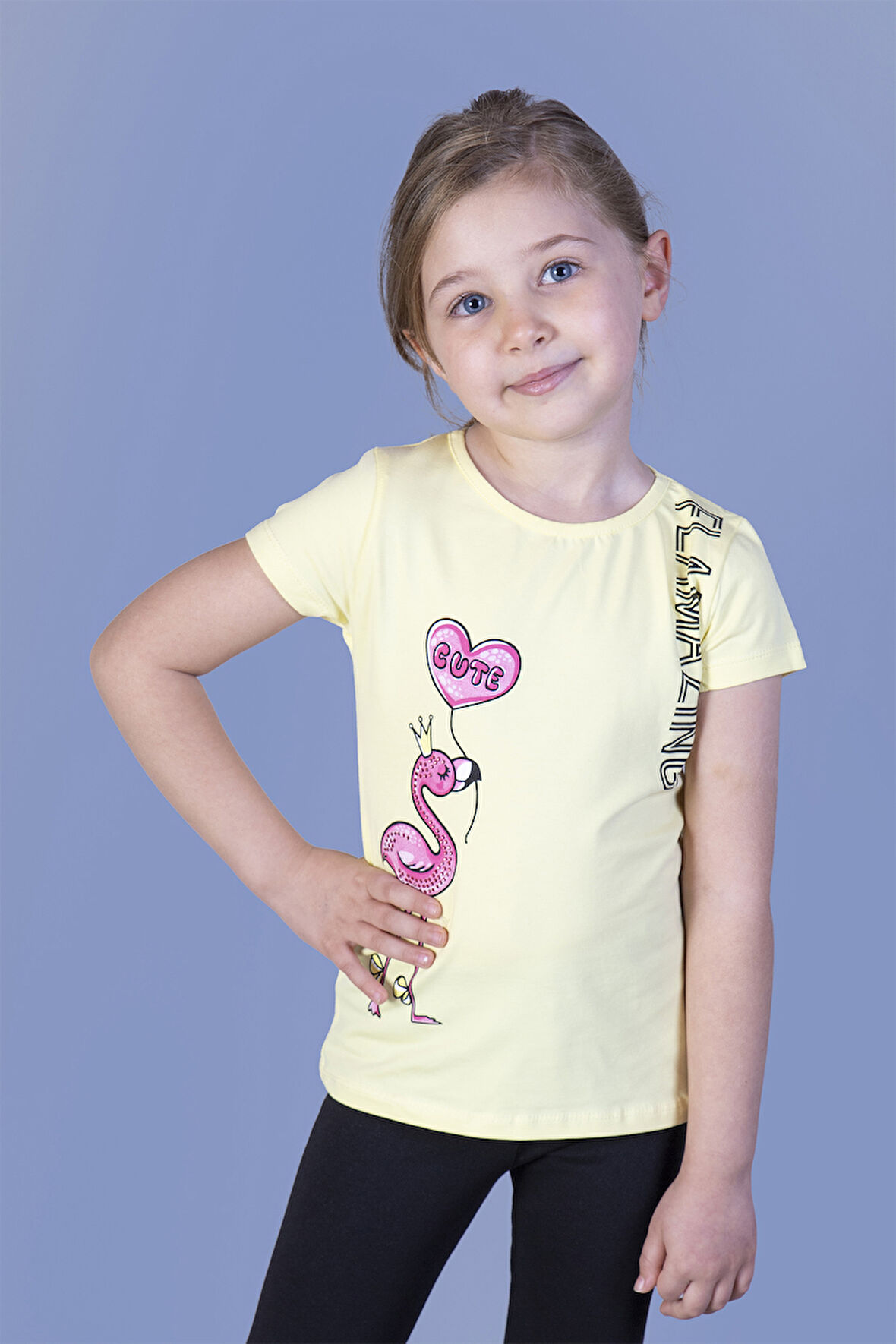 Toontoy Kız Çocuk Flamingo Desenli Taş İşlemeli Baskılı Tişört