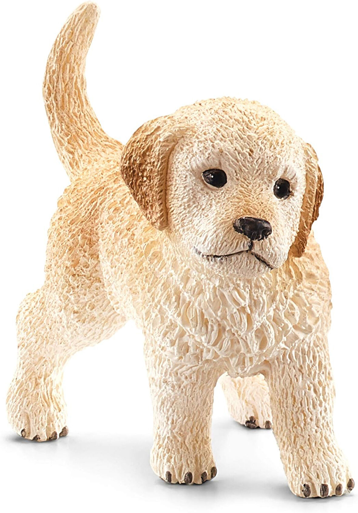 Farm World Yavru Golden Retriever