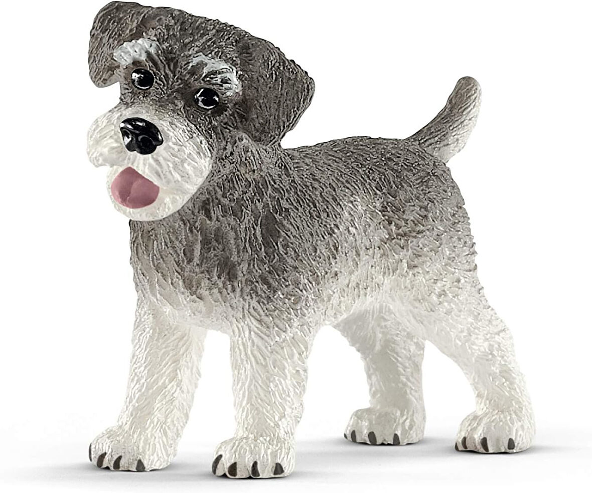 Farm World Minyatür Schnauzer