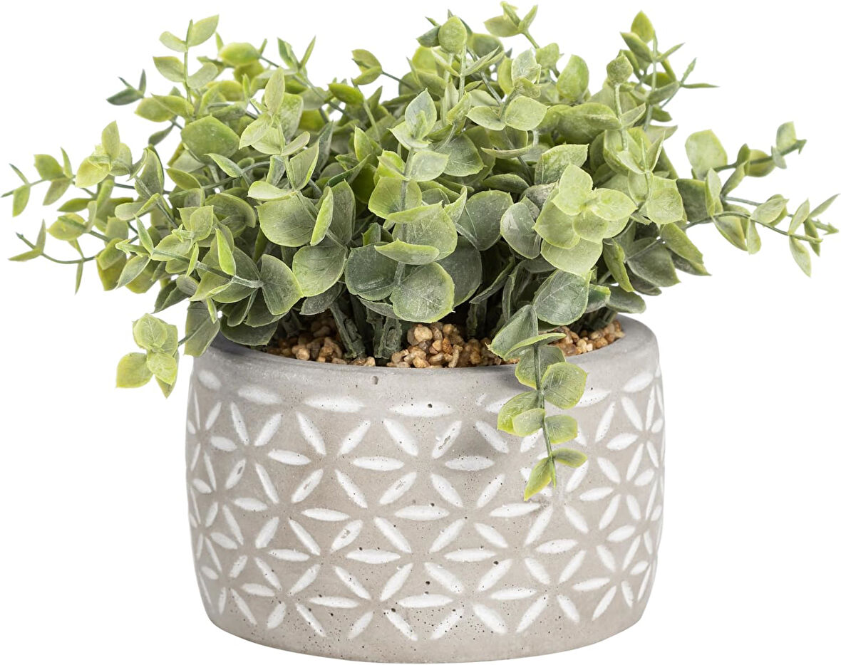 Concept Midori Saksılı Yapay Bitki 12 x 20 cm