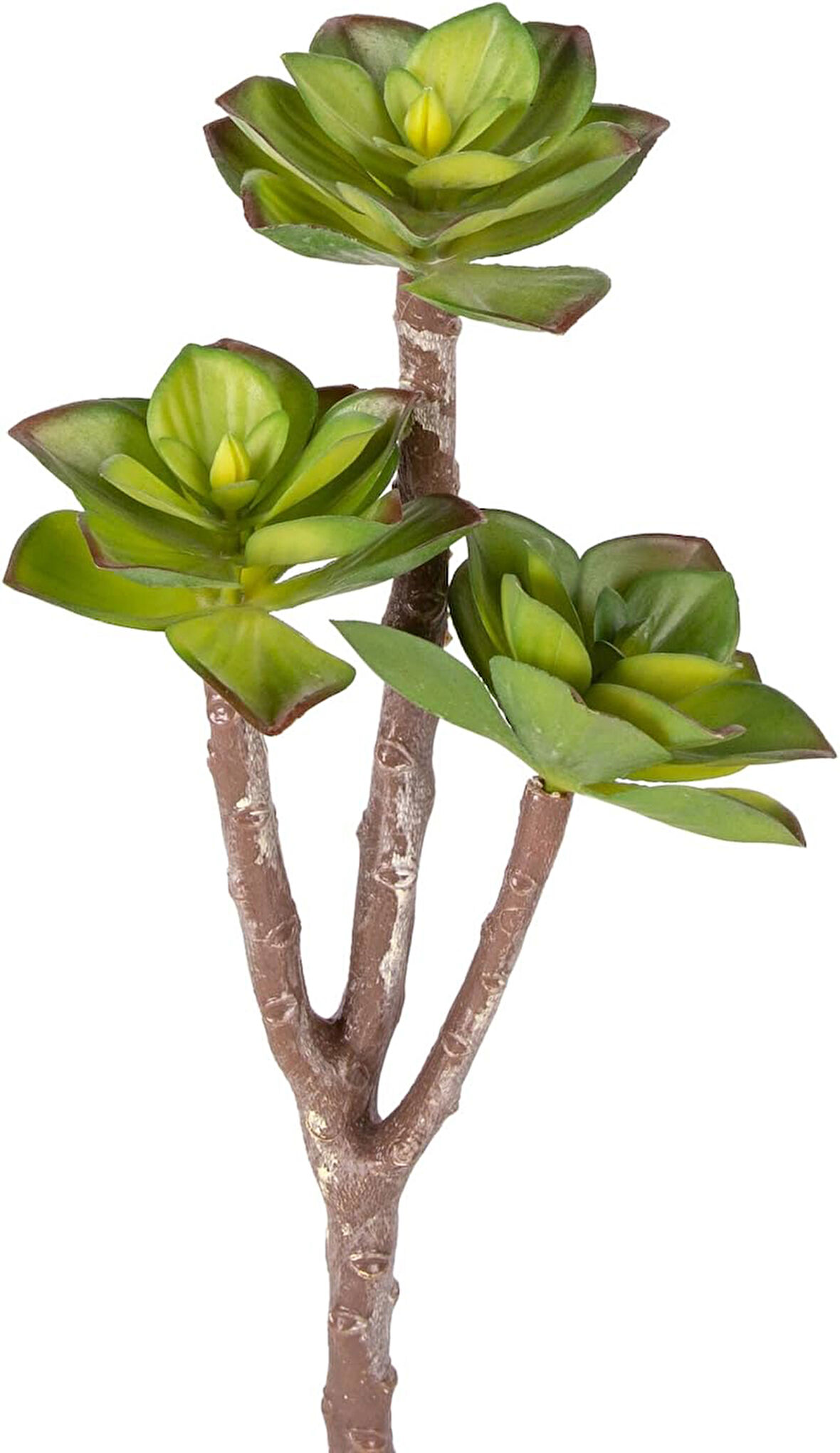 Yapay Kaktüs Sukulent Kırmızı-Yeşil 35 Cm.