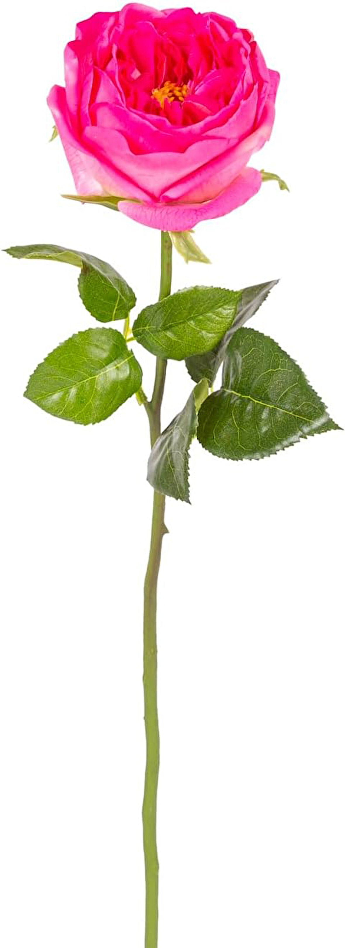 Yapay Çiçek Islak Dokulu Gül Fuşya 48 Cm.