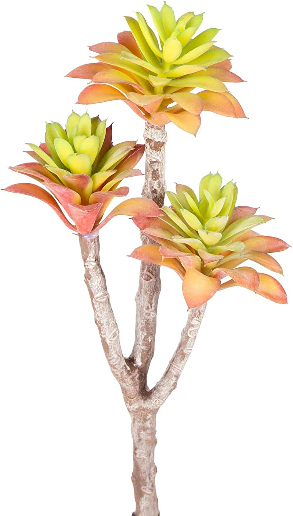 Yapay Kaktüs Sukulent Kırmızı/Yeşil 35 Cm