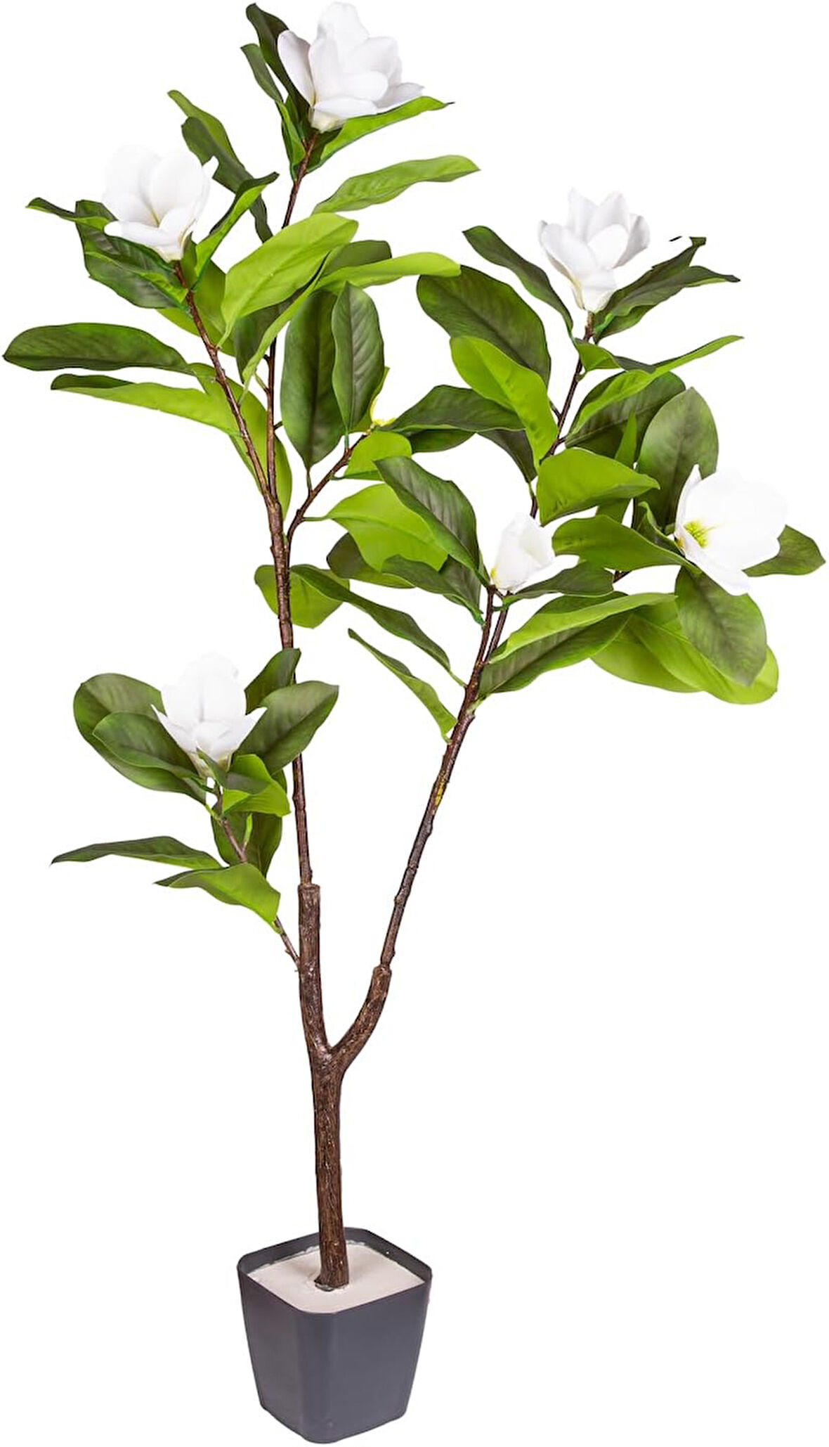 Yapay Manolya Ağacı Gerçek Dokulu 120 Cm.