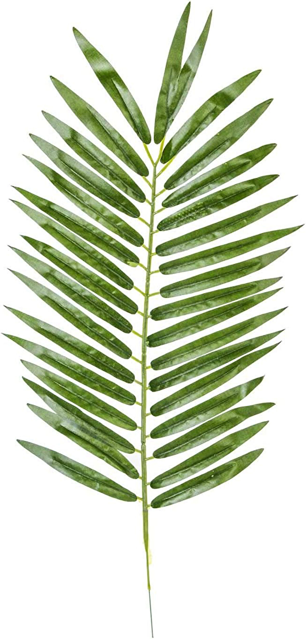 Flora BZEFL44382 Yapay Palmiye Dalı 54 cm