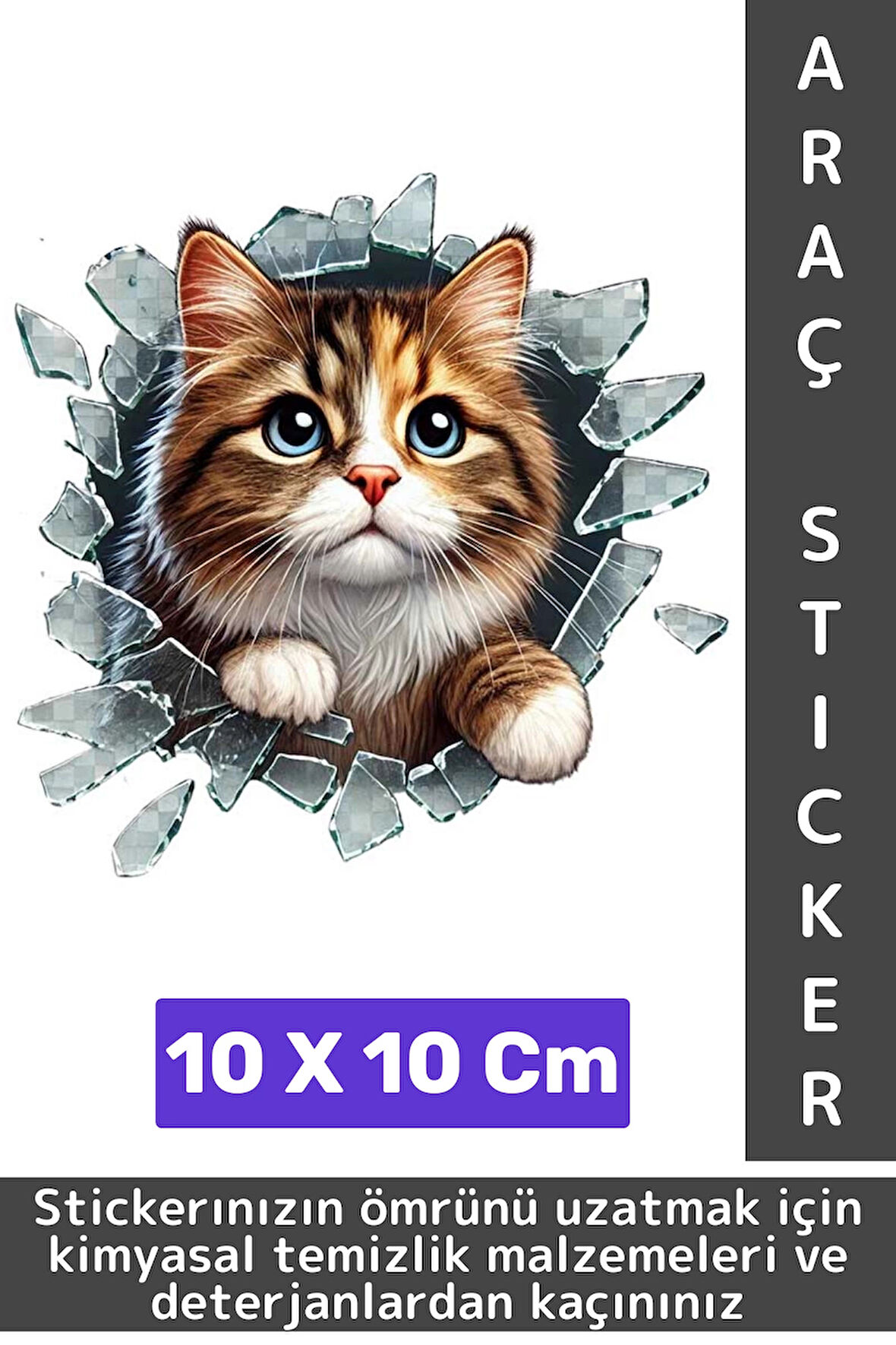 Özel Tasarım Araç Dış Modifiye Eğlenceli Yaratıcı Şık 3D Evcil Hayvan Kedi Köpek Sticker 10 X 10 Cm