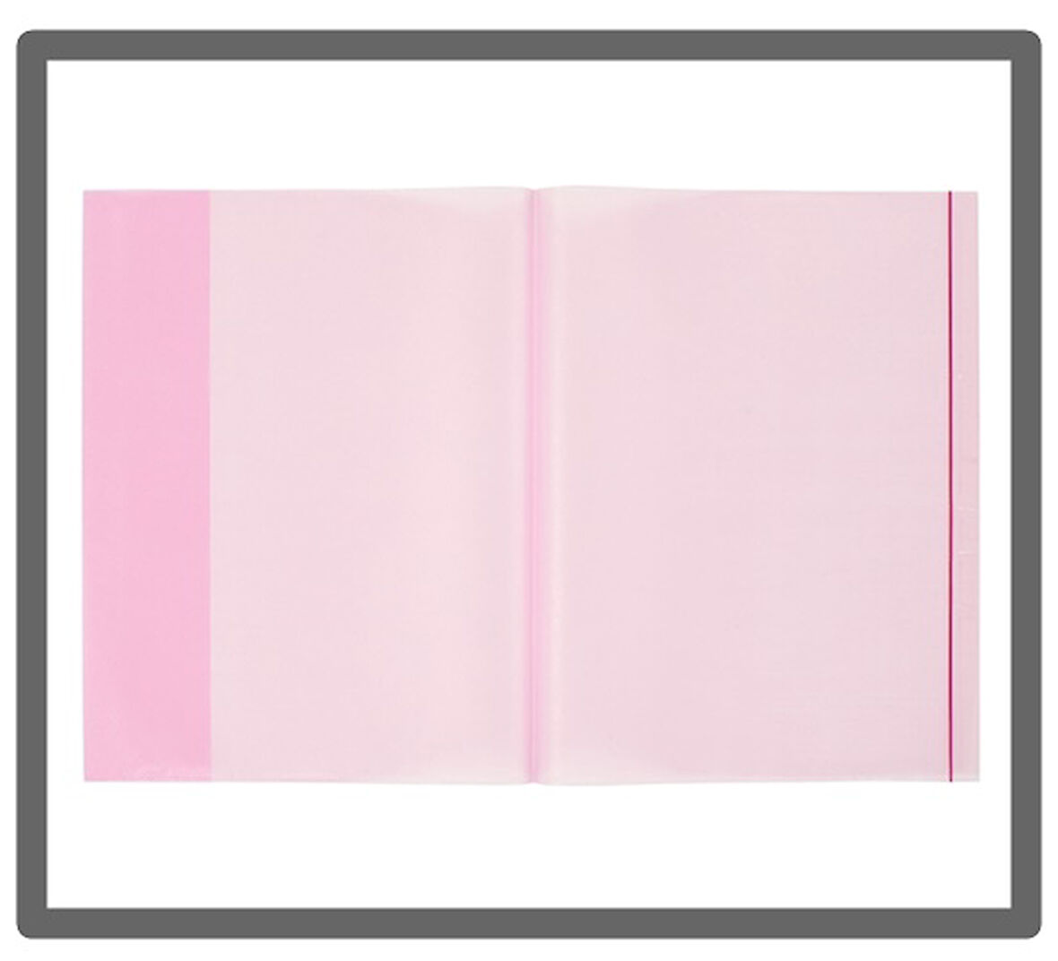 Bigpoint A4 Hazır Defter Kabı 5li Paket Şeffaf Kırmızı - 3 paket