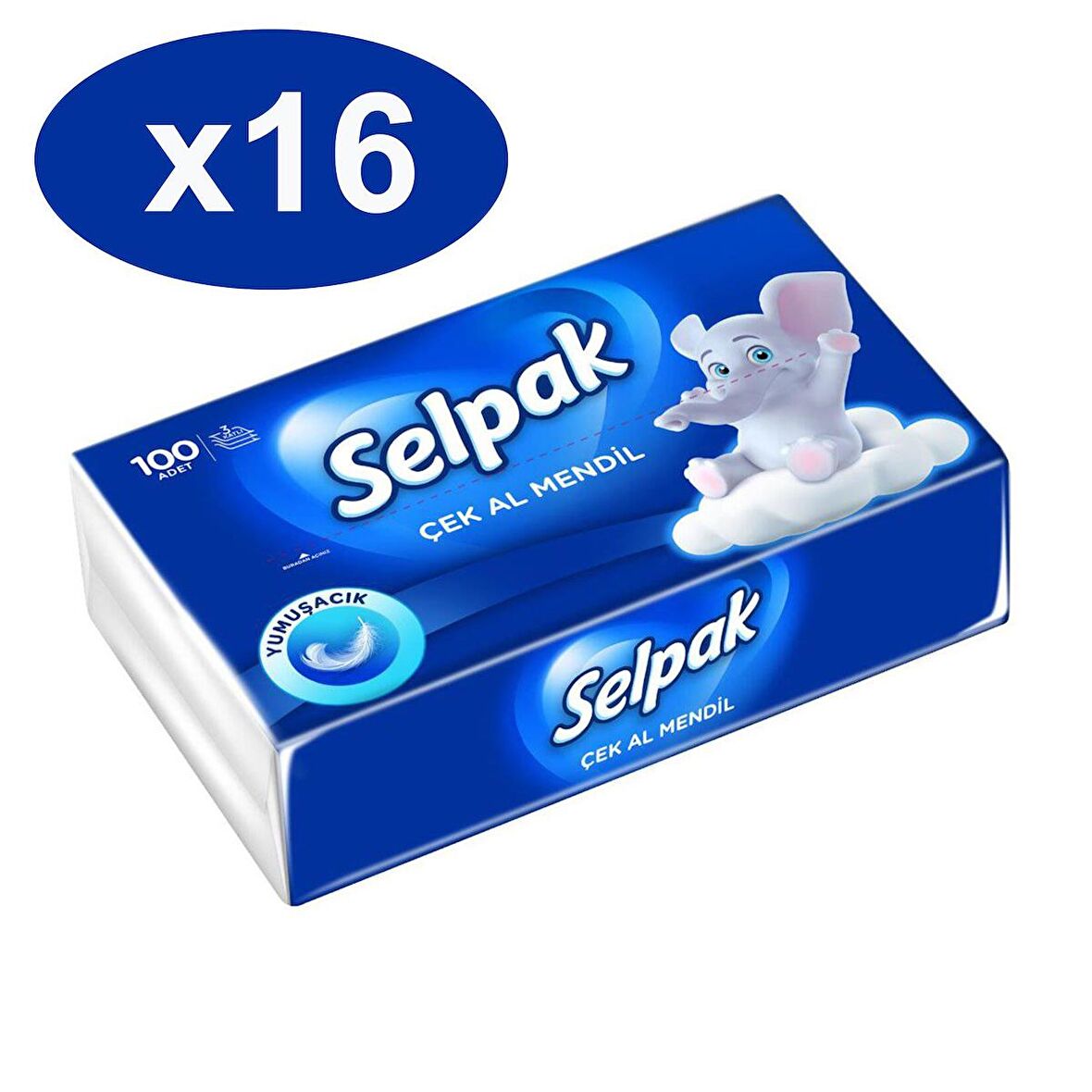 Selpak Çek Al Mendil 100 Adet x 16 lı Set