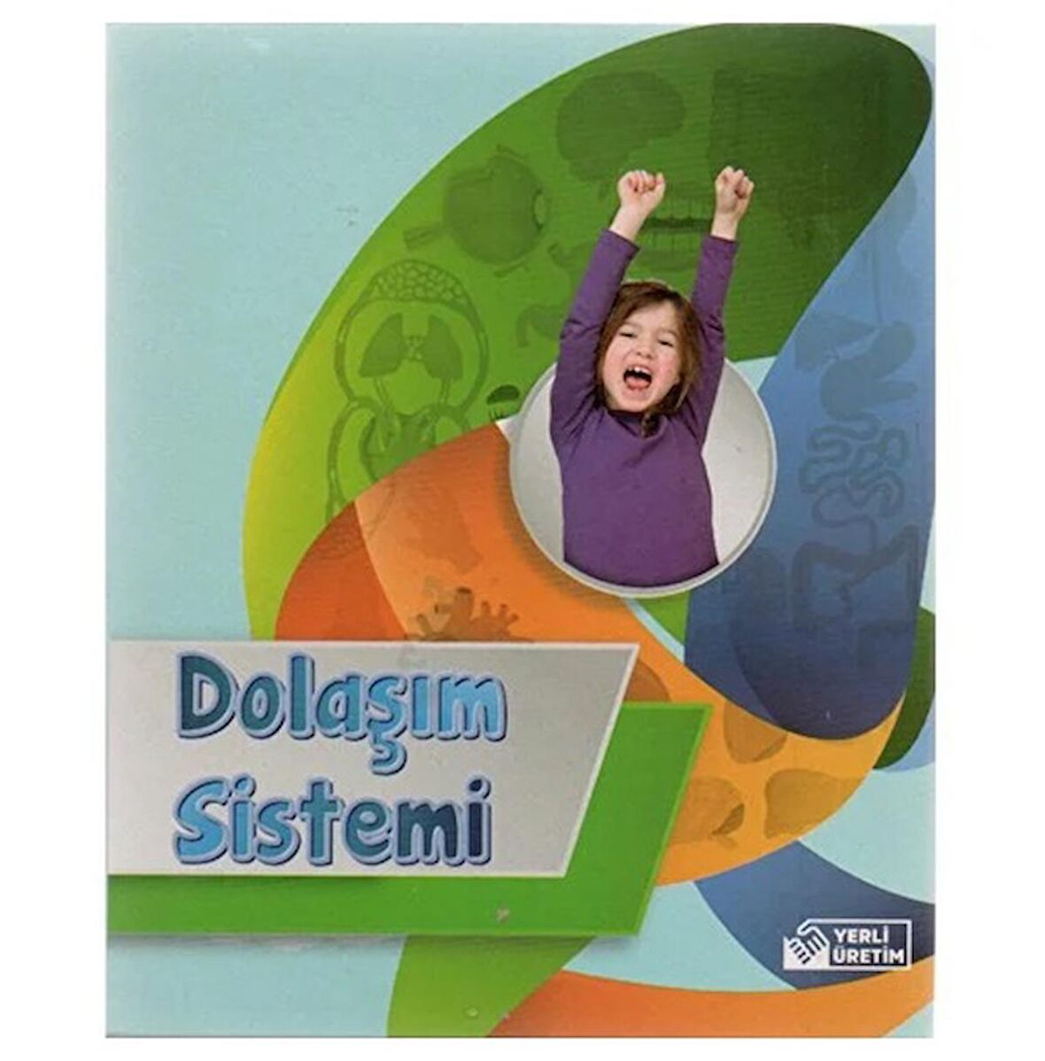 Dolaşım Sistemi Kutulu