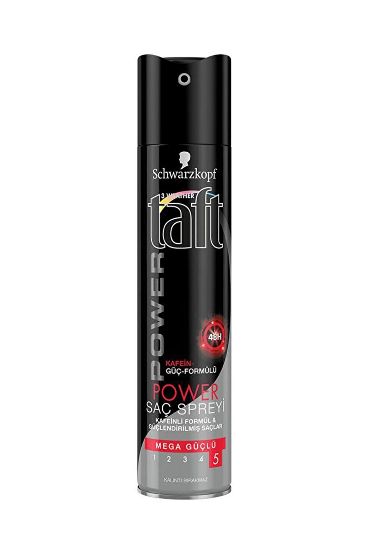 Taft Saç Spreyi Power Kafeinli 5 250 Ml