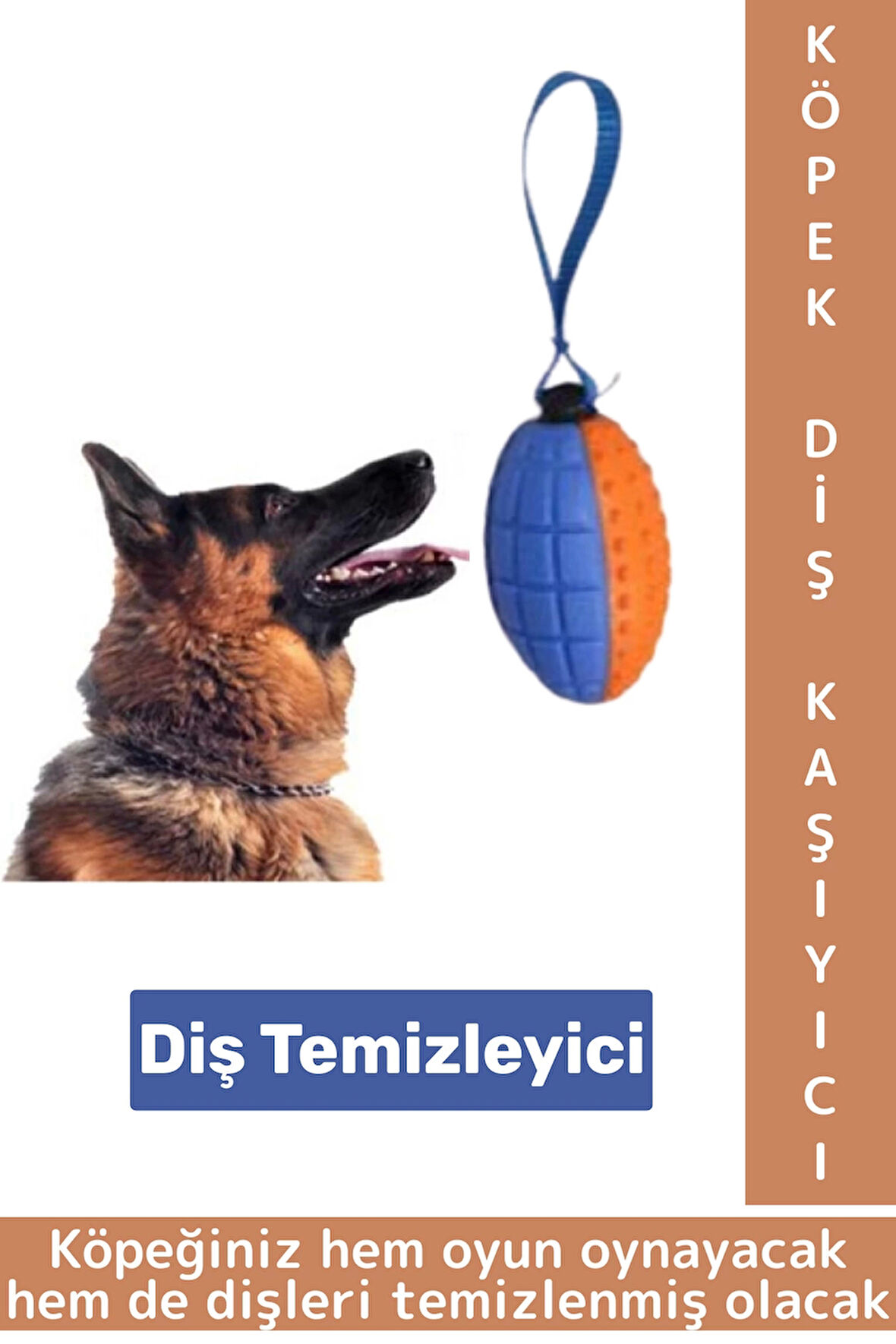 Evcil Hayvan Büyük Küçük Irk Tüm Cinslere Uygun Diş Temizleyici Eğlenceli Köpek Diş Kaşıma Oyun Topu