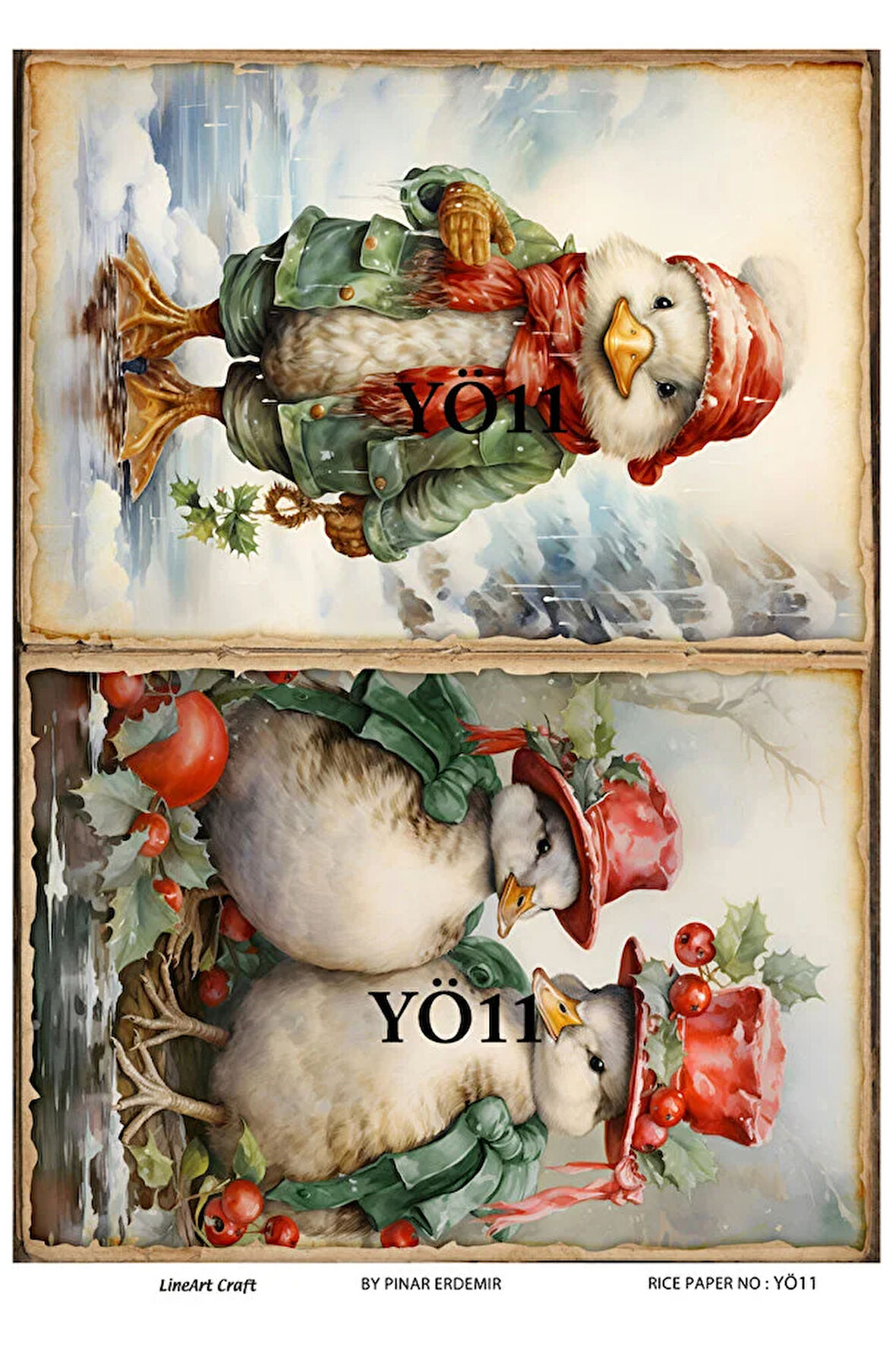 Ördek Serisi YÖ11 Yeşil, Ördek, Hayvan, Duck Desenli Pirinç Dekopaj 30x42