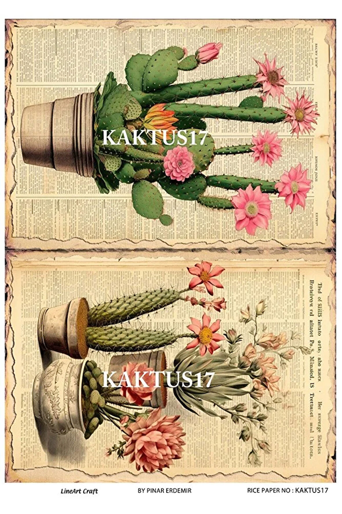 Kaktüs Serisi KKTS17 Kaktüs Desenli Pirinç Dekopaj 30x42