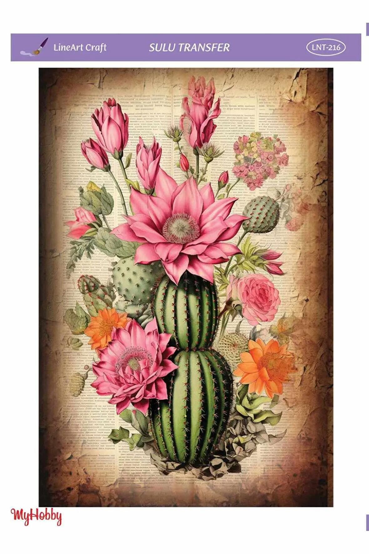 Renkli, Kaktüs Desenli Sulu Transfer LNT-216 25x35