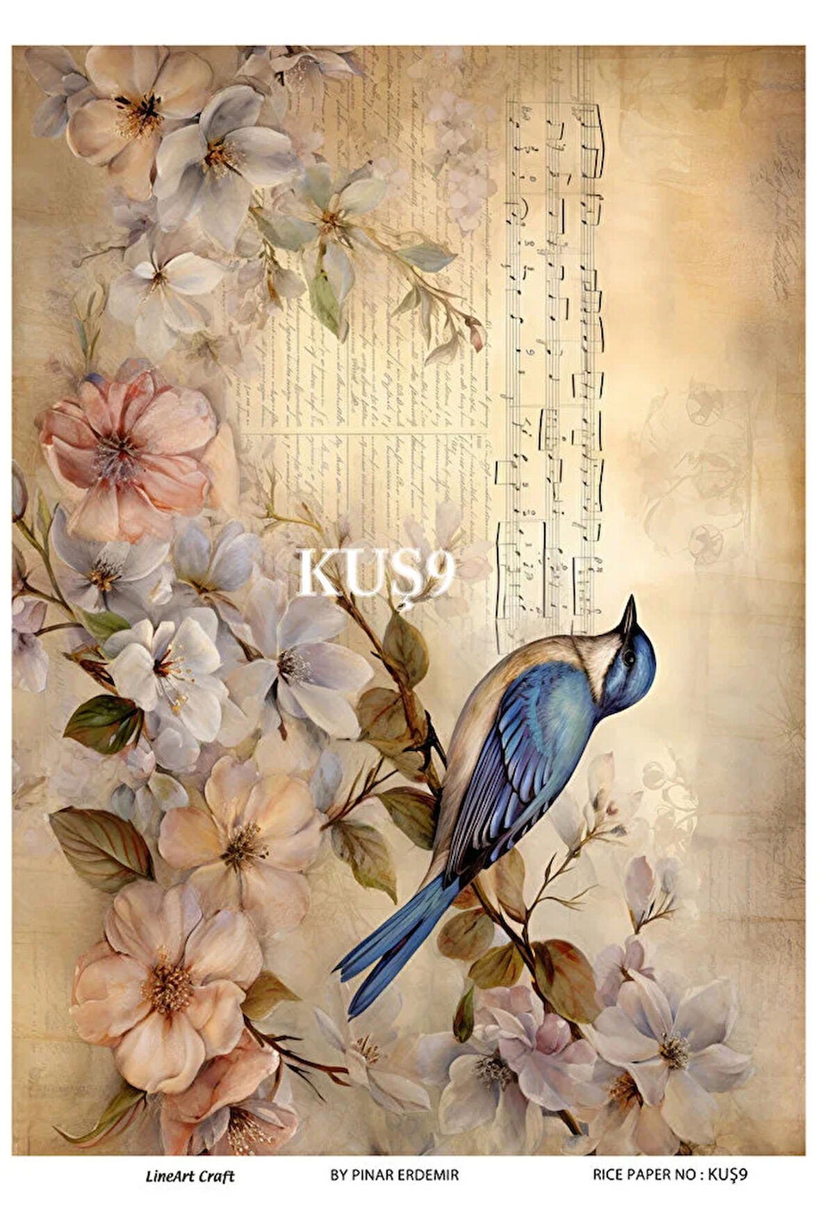 Kuş Serisi KUS9 Dal Üzerinde Kuş Desen Pirinç Dekopaj 30x42