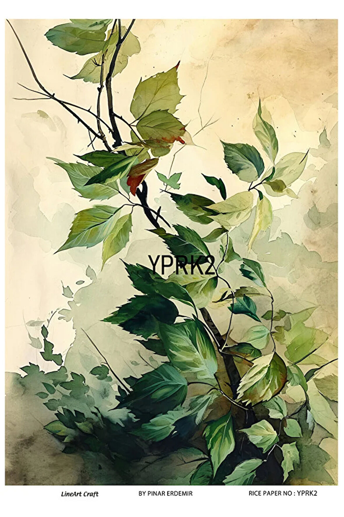 Yaprak Serisi YPRK2 Desenli Pirinç Dekopaj 30x42