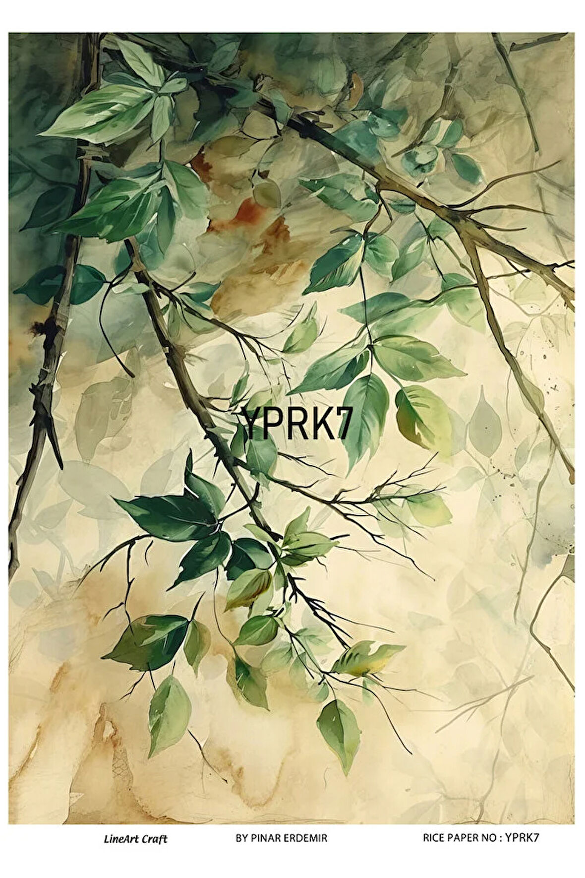 Yaprak Serisi YPRK7 Desenli Pirinç Dekopaj 30x42