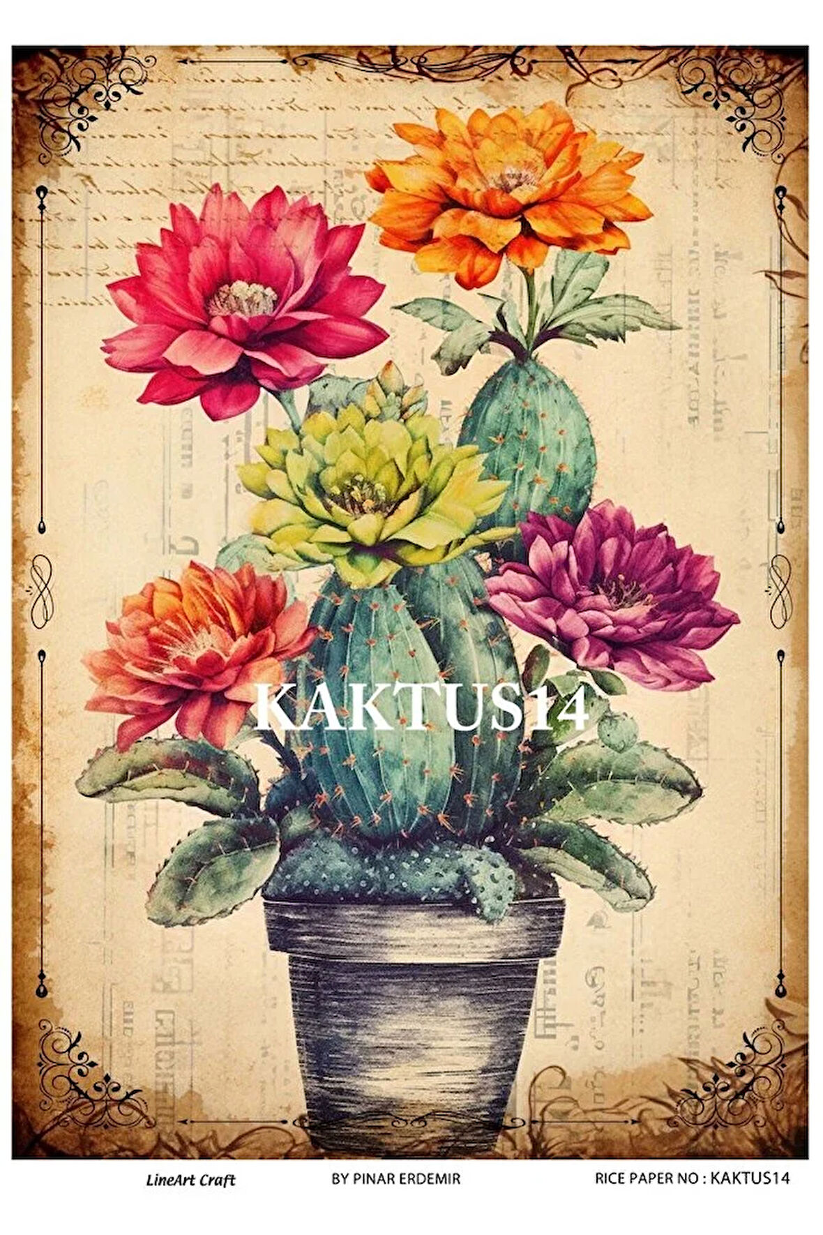 Kaktüs Serisi KKTS14 Kaktüs Desenli Pirinç Dekopaj 30x42