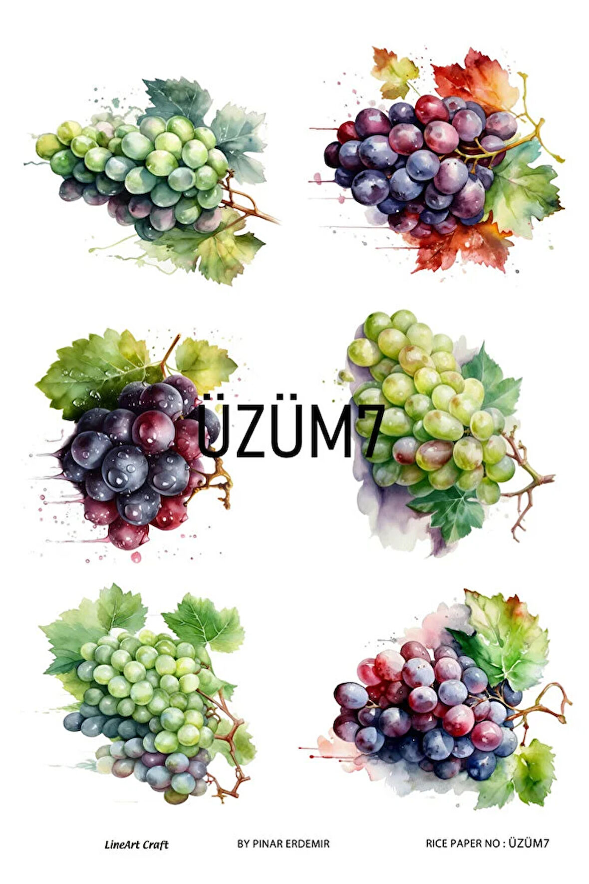 Üzüm Serisi ÜZÜM7 Desenli Pirinç Dekopaj 30x42