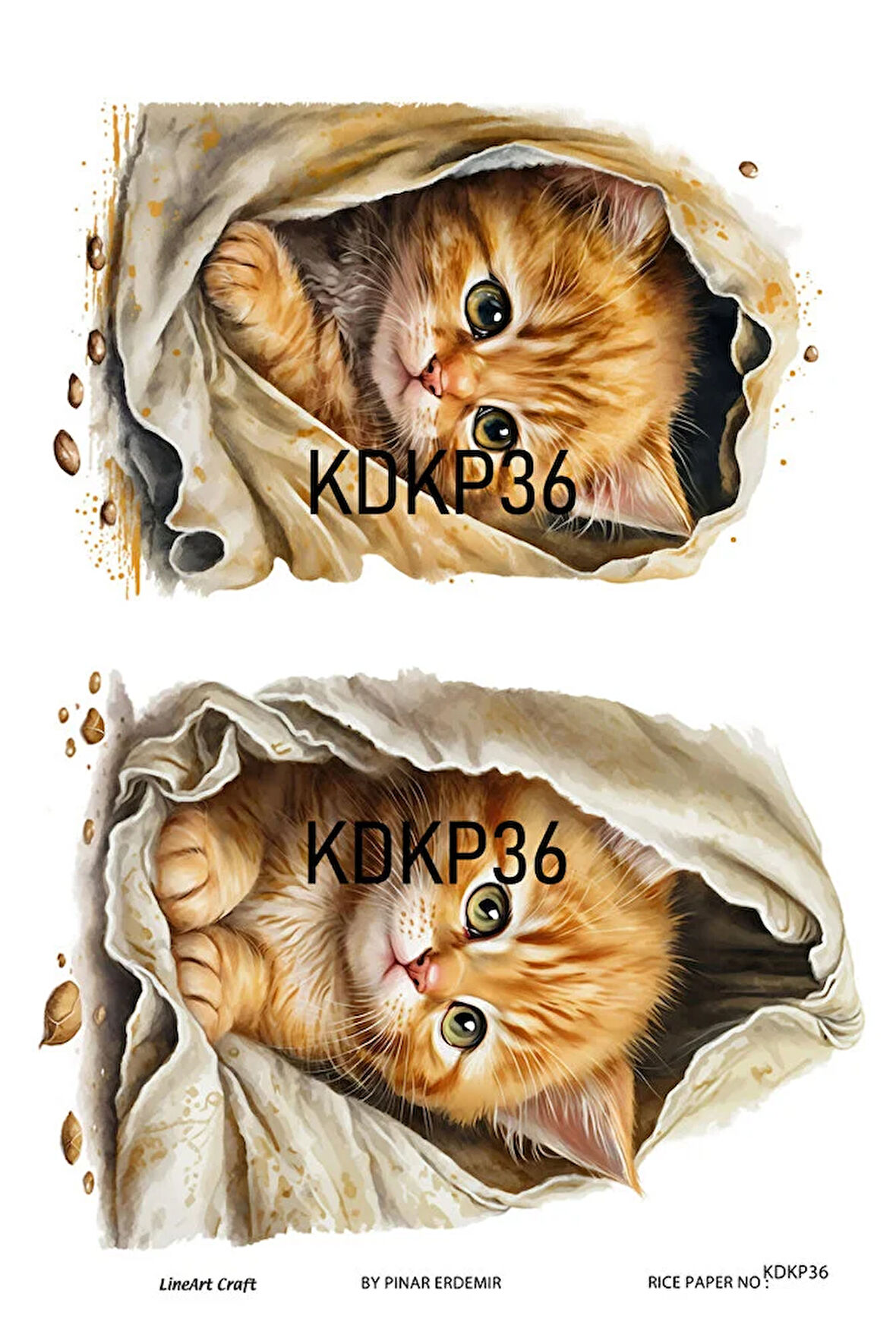 Kedi Köpek Serisi KDKP36 Desenli Pirinç Dekopaj 30x42