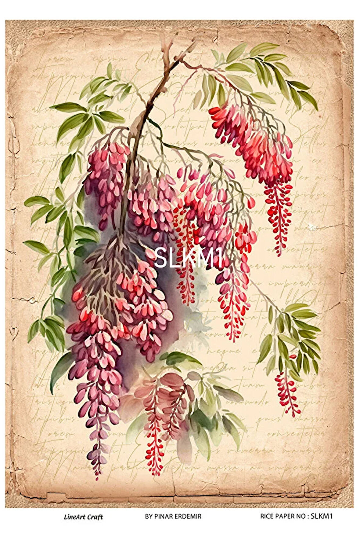 Salkım Serisi SLKM1 Pirinç Dekopaj 30x42