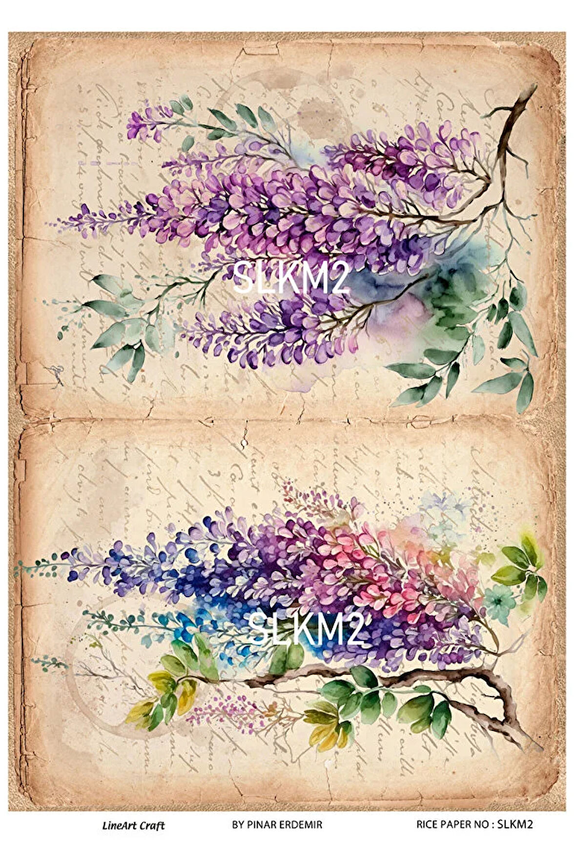 Salkım Serisi SLKM2 Pirinç Dekopaj 30x42