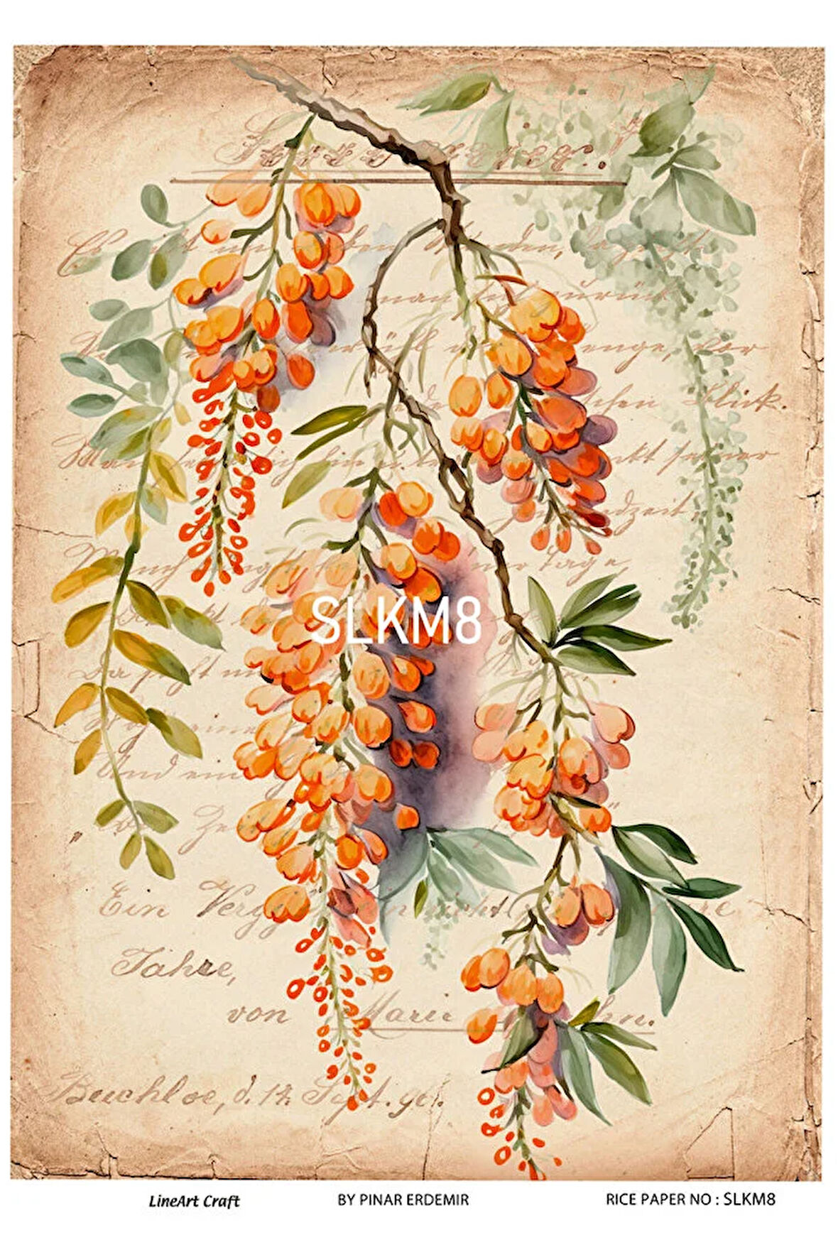 Salkım Serisi SLKM8 Pirinç Dekopaj 30x42