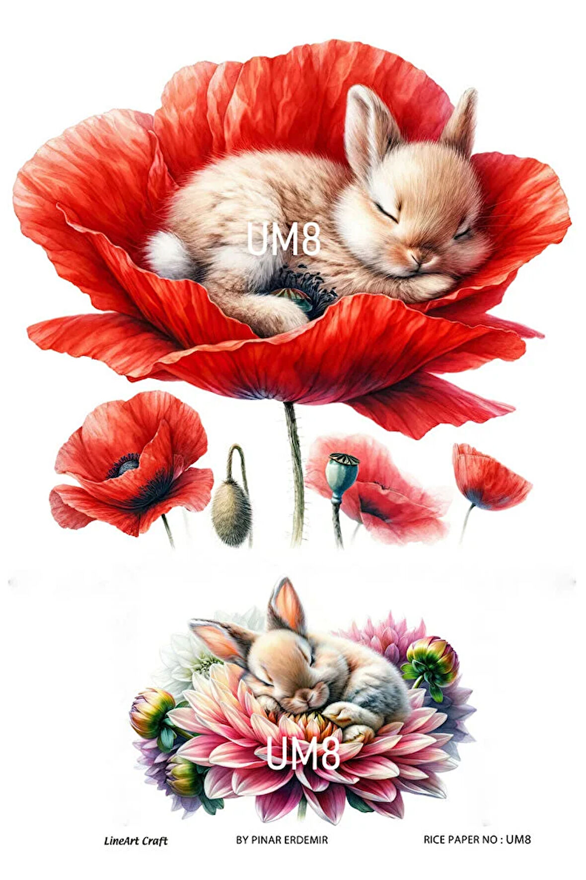 Uyuyan Melek Serisi UM8 Tavşanlar, Çiçekler Pirinç Dekopaj 30x42