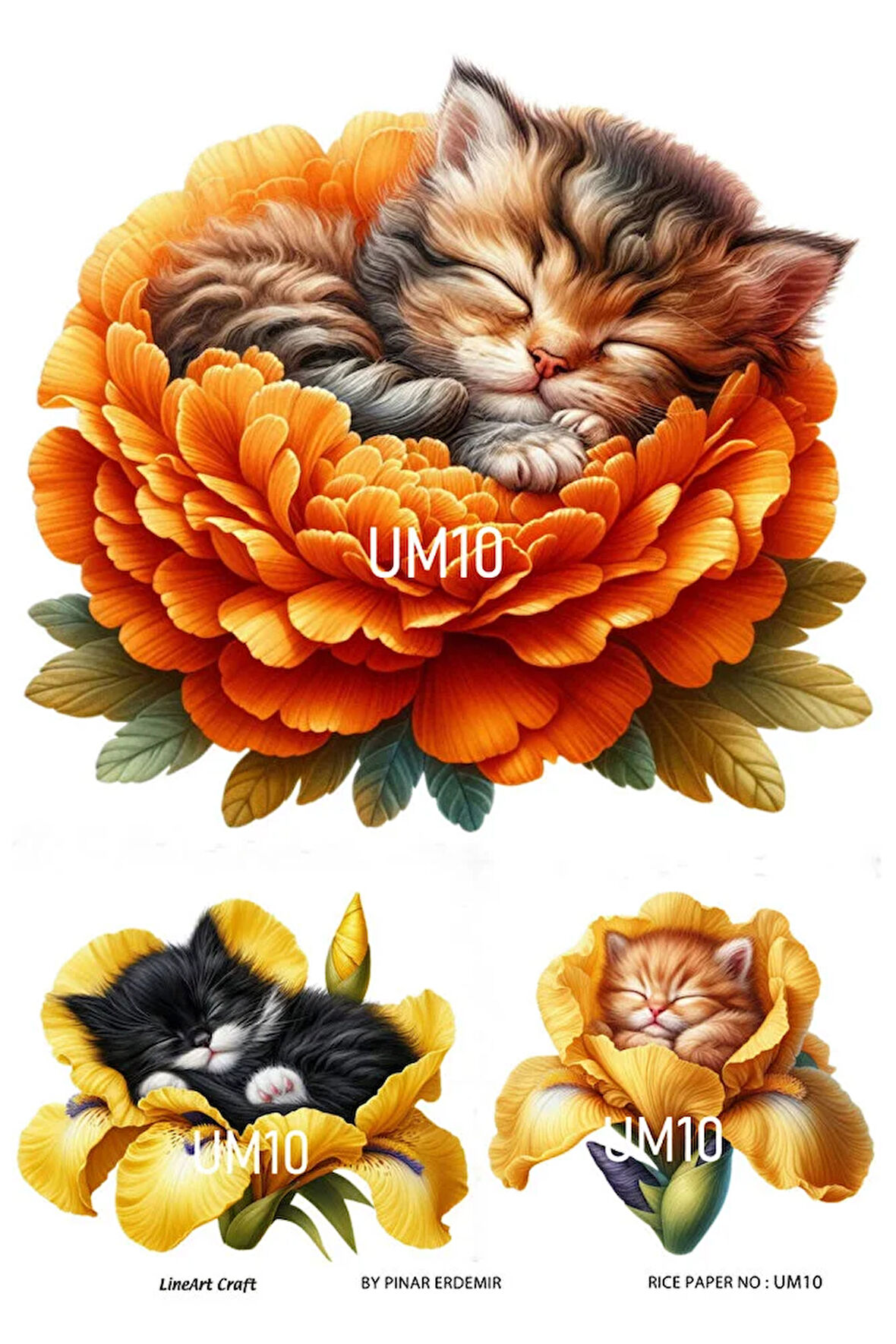 Uyuyan Melek Serisi UM10 Kediler, Çiçekler Pirinç Dekopaj 30x42