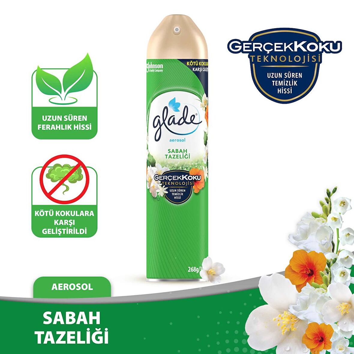 Hava Tazeleyici Aerosol Oda Kokusu Sabah Tazeliği 300ml