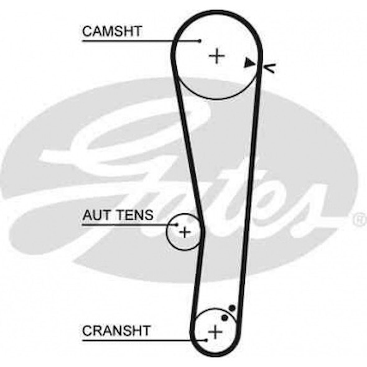 Hyundaı Eksantrık Kayısı (110x220) Excel Accent 1,3 12v (99 06) 1,5 12v 99 0) Getz 1,3 12v 02 0) Ct1062 - Gates 5568xs