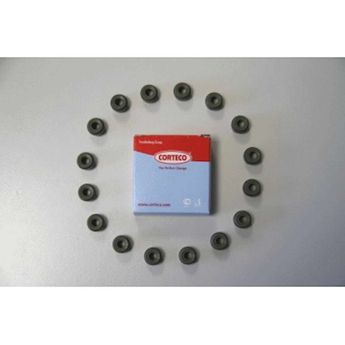 Renault Motor Subap Lastıgı 1.2 16v Clio III IV Modus Twingo 2001-> - Corteco 19036100