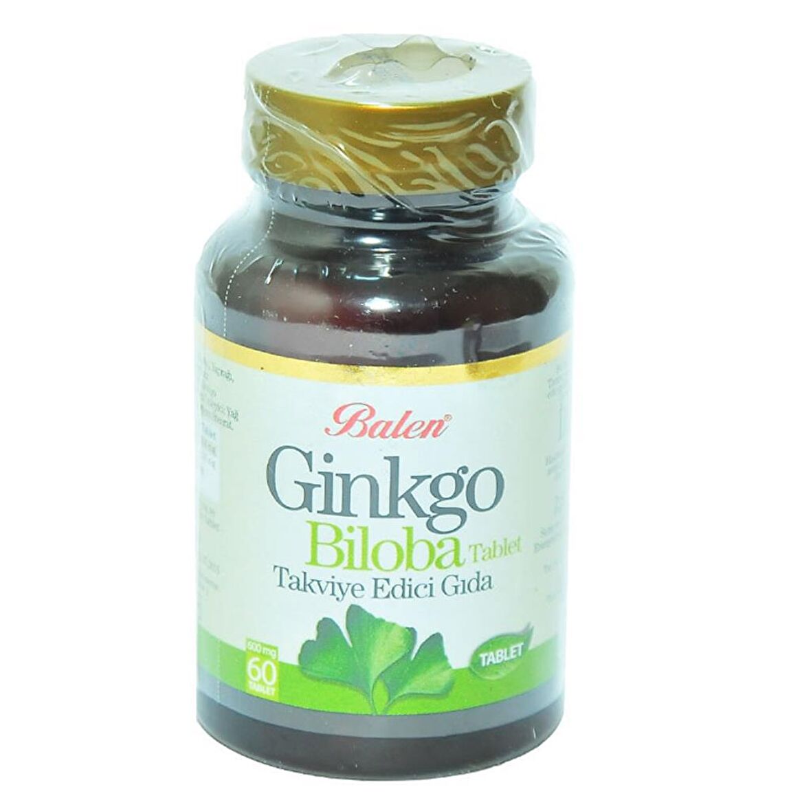 Ginkgo Biloba 60 Tablet