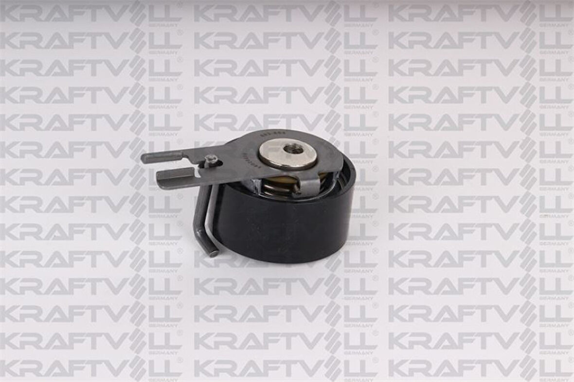 Bmw Eksantrık Rulmanı Mini R56 R55 06>10 P107 P206 P207 P1007 P307 Bipper Nemo P206+ (t3e) Plus C1 C2 C3 - Kraftvoll 14020089