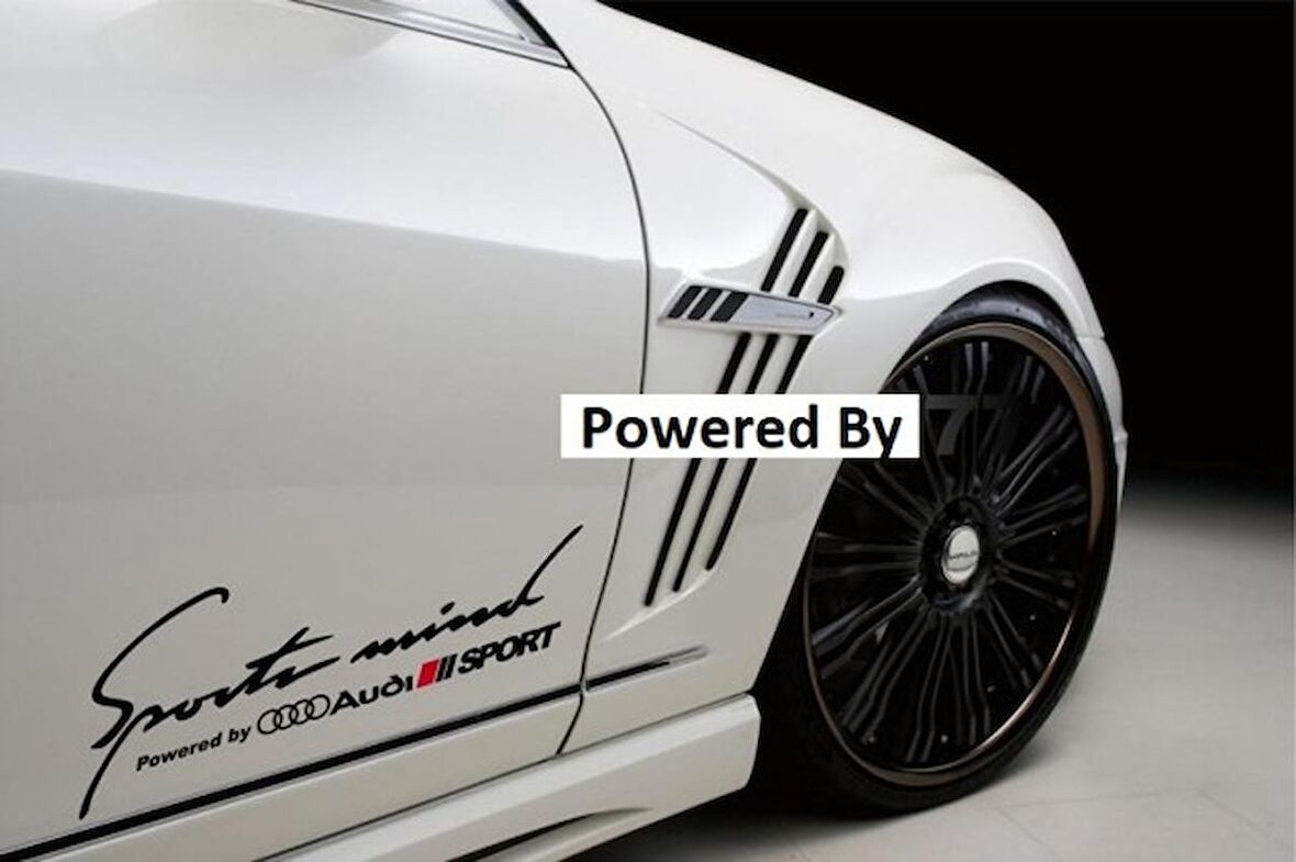 Audi Yan Kapı Çamurluk Sticker Araba Oto Yapıştırma 2Adet