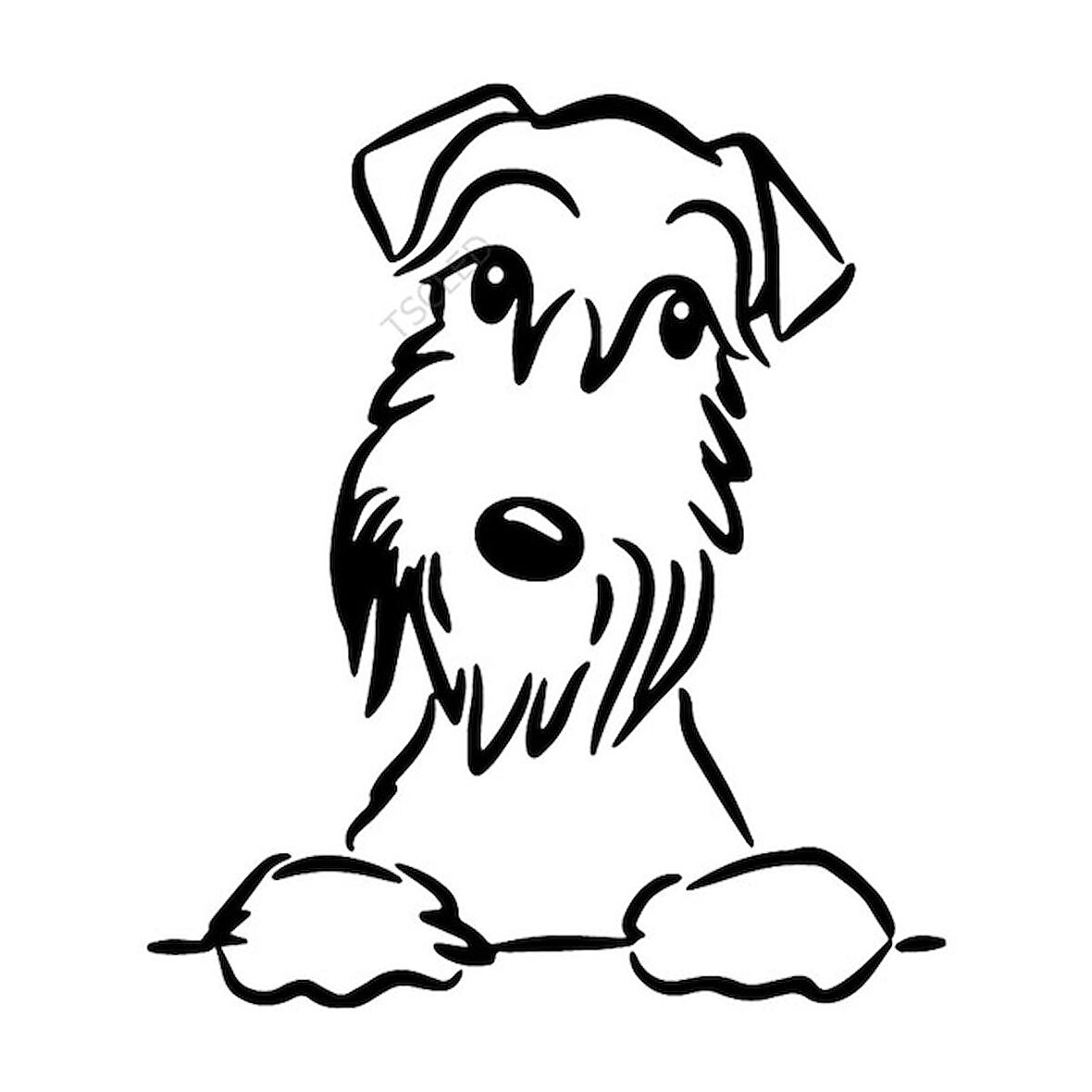 Schnauzer köpek araba Sticker Yapıştırması